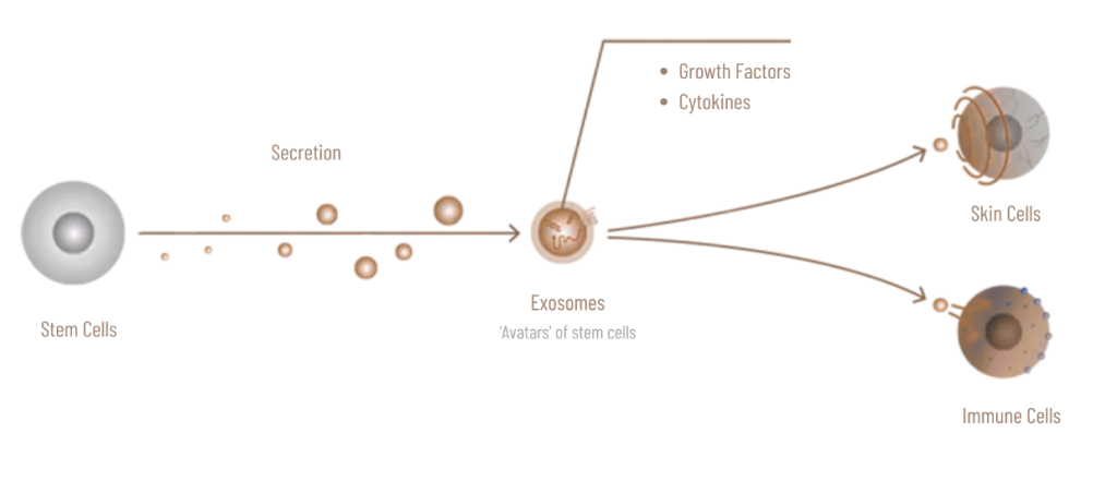 asne exosome process benefits